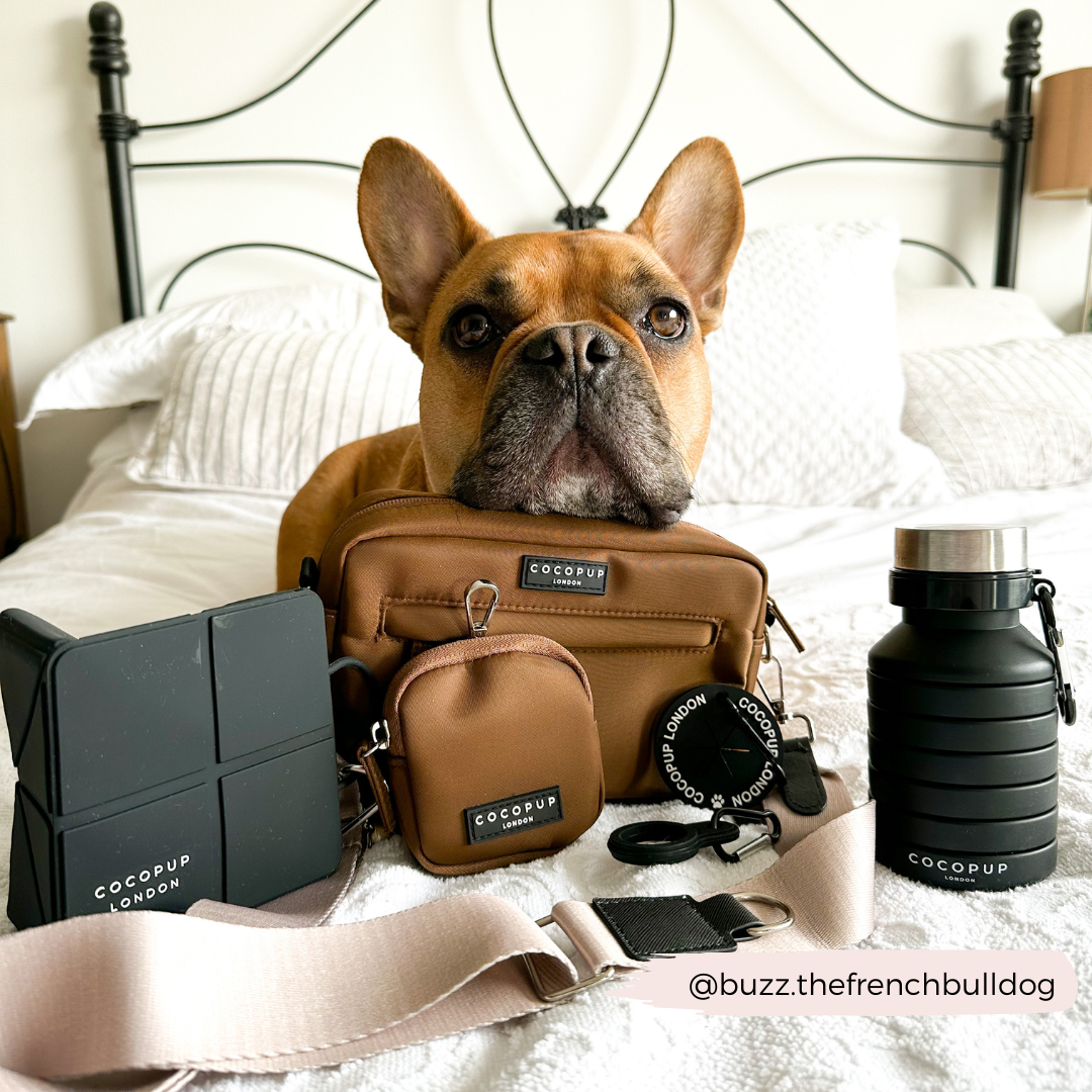 black collapsible water bottle black
