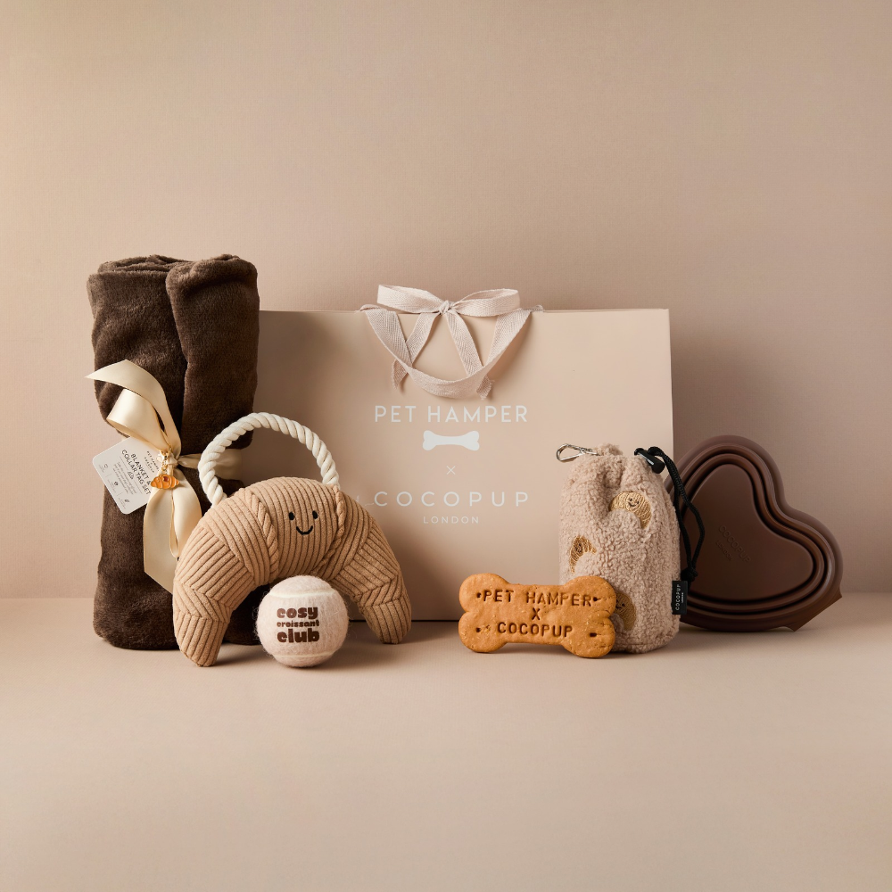 pet hamper collaboration, gift bag featuring a mix of dog products such as a blanket, biscuit, bowl and toy