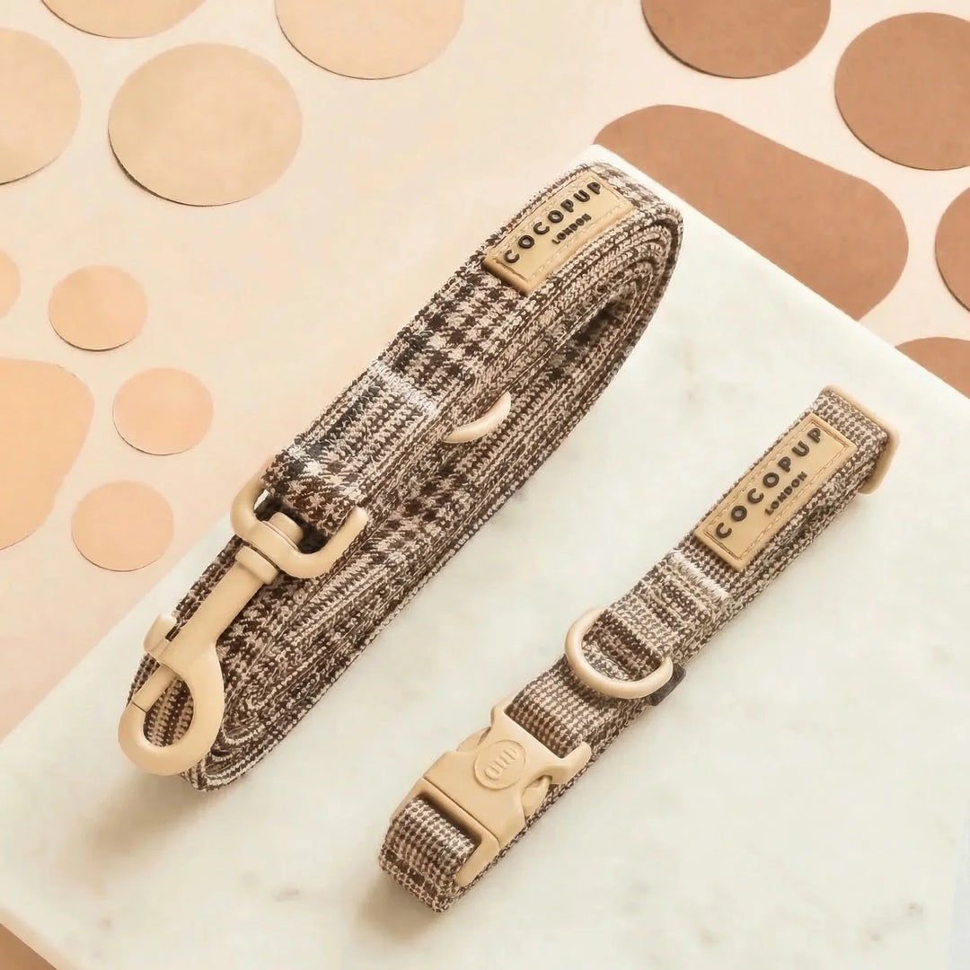 Matching Dog Collar & Lead