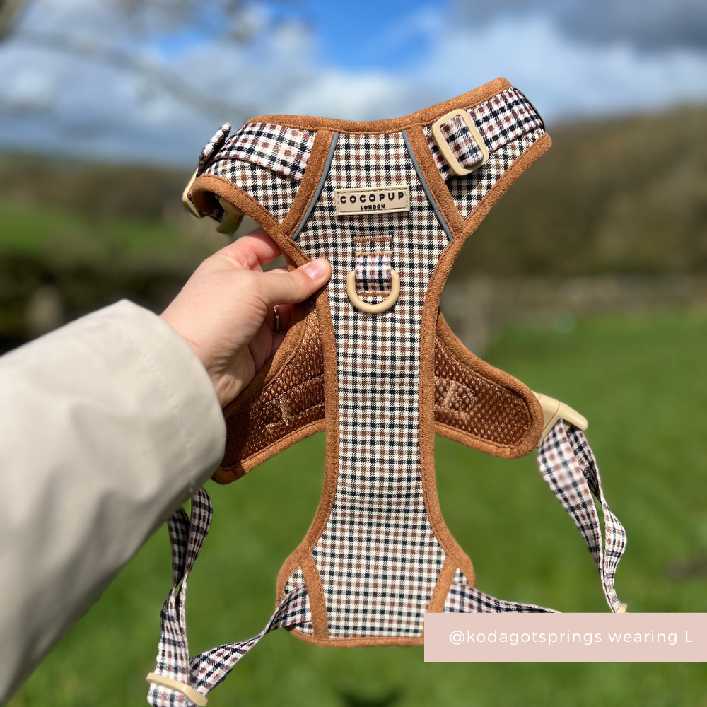Explore Harness - Heritage Check