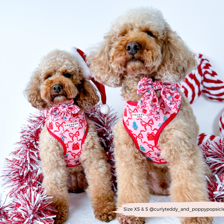 Pupmas Kisses Adjustable Neck Harness, Lead & Collar Bundle