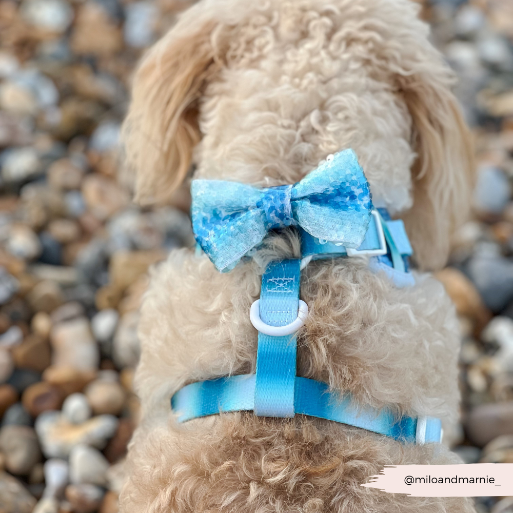 Seaside Shimmer Bow Tie