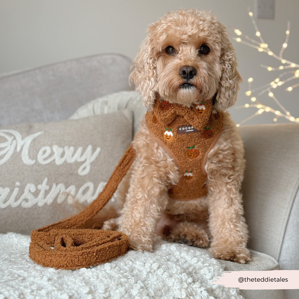 Festive Pudding Pup Adjustable Neck Harness, Lead & Collar Bundle