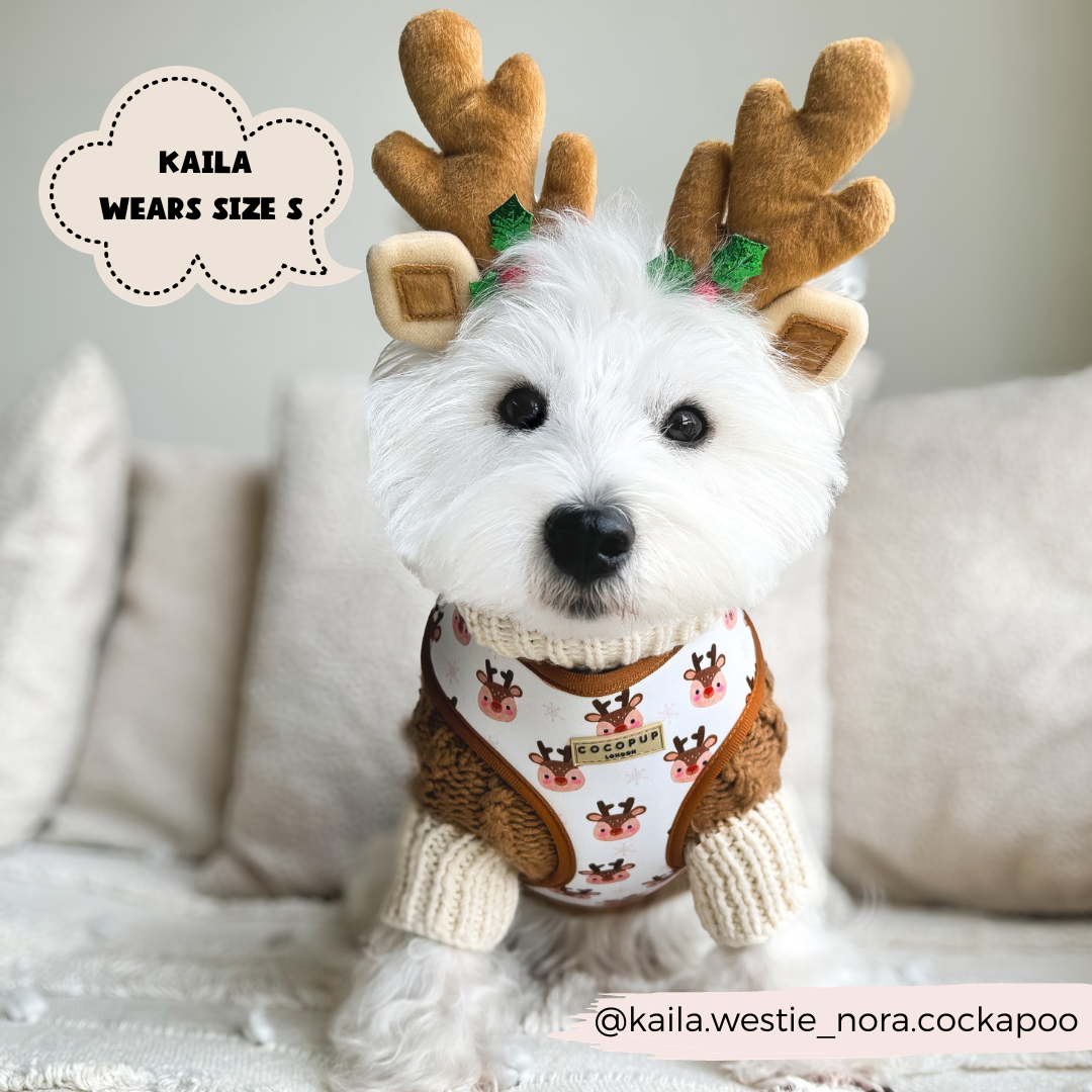 Ralphie Reindeer Adjustable Neck Harness