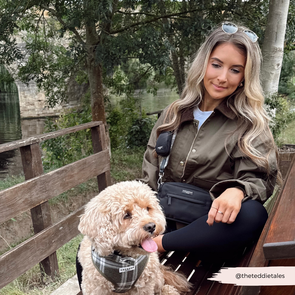 Dog Walking Bag Bundle - Olive Check