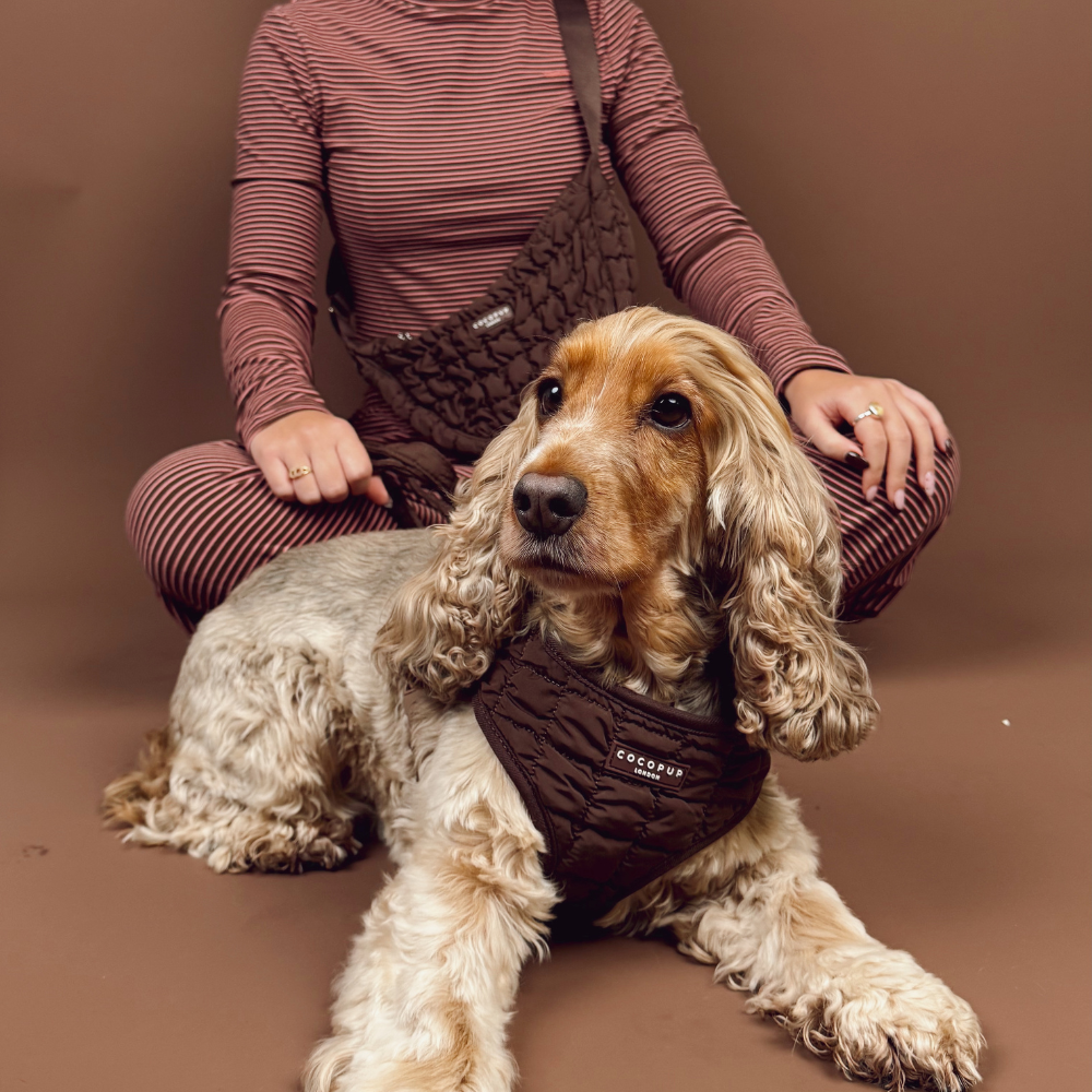 Espresso Quilted Adjustable Neck Harness, Lead & Collar Bundle