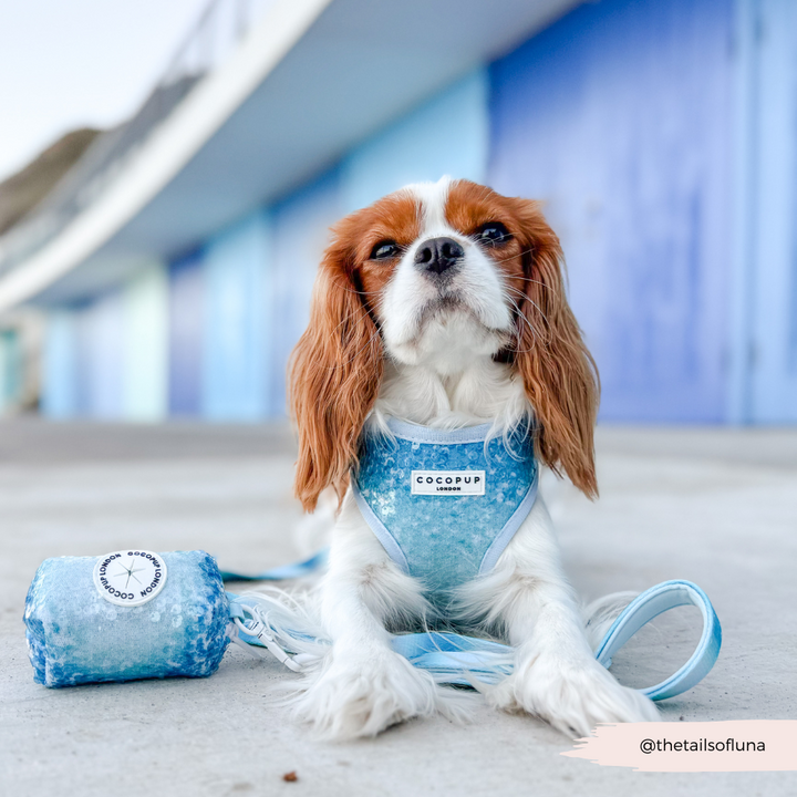 Seaside Shimmer Poop Bag Holder