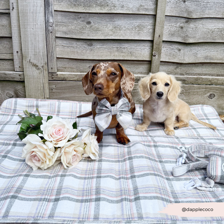 Travel Mat & Blanket Set - Oxford Plaid