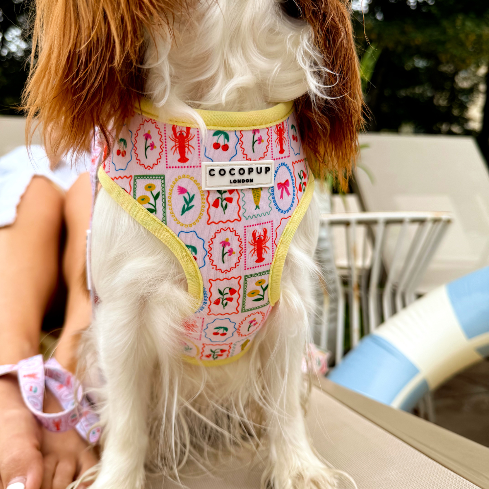 Dolce Vita Adjustable Neck HARNESS