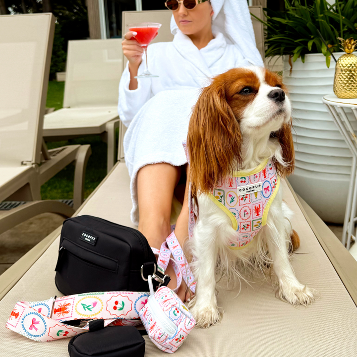 Bag Strap - Dolce Vita