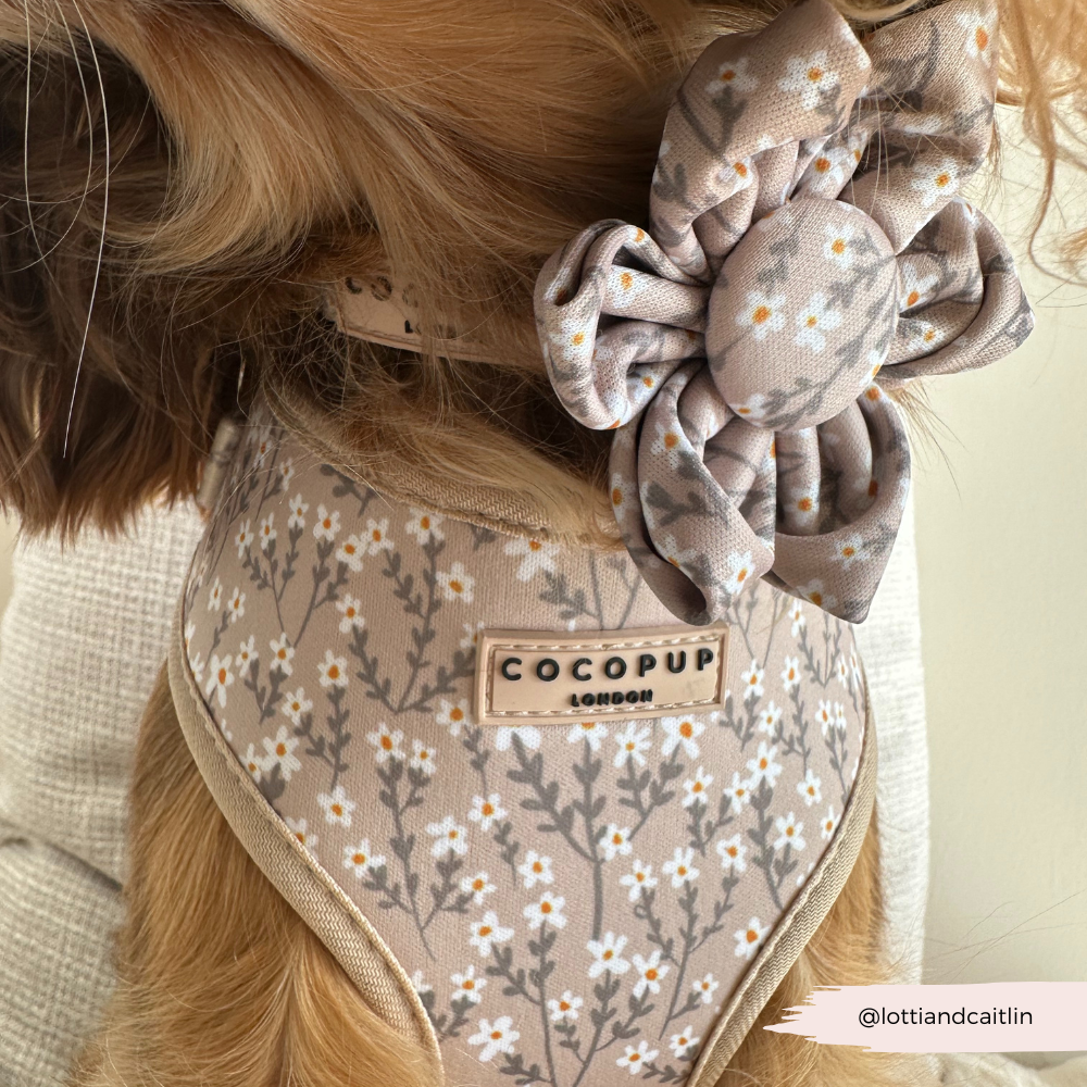 Nude Flowers Collar Flower