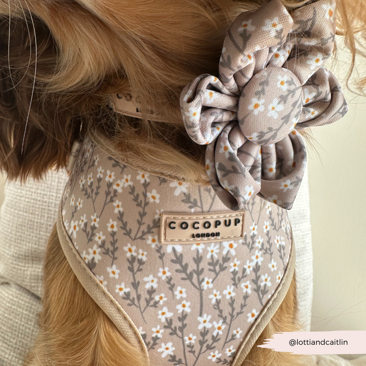 Nude Flowers Collar Flower