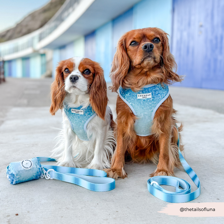 Seaside Shimmer Poop Bag Holder