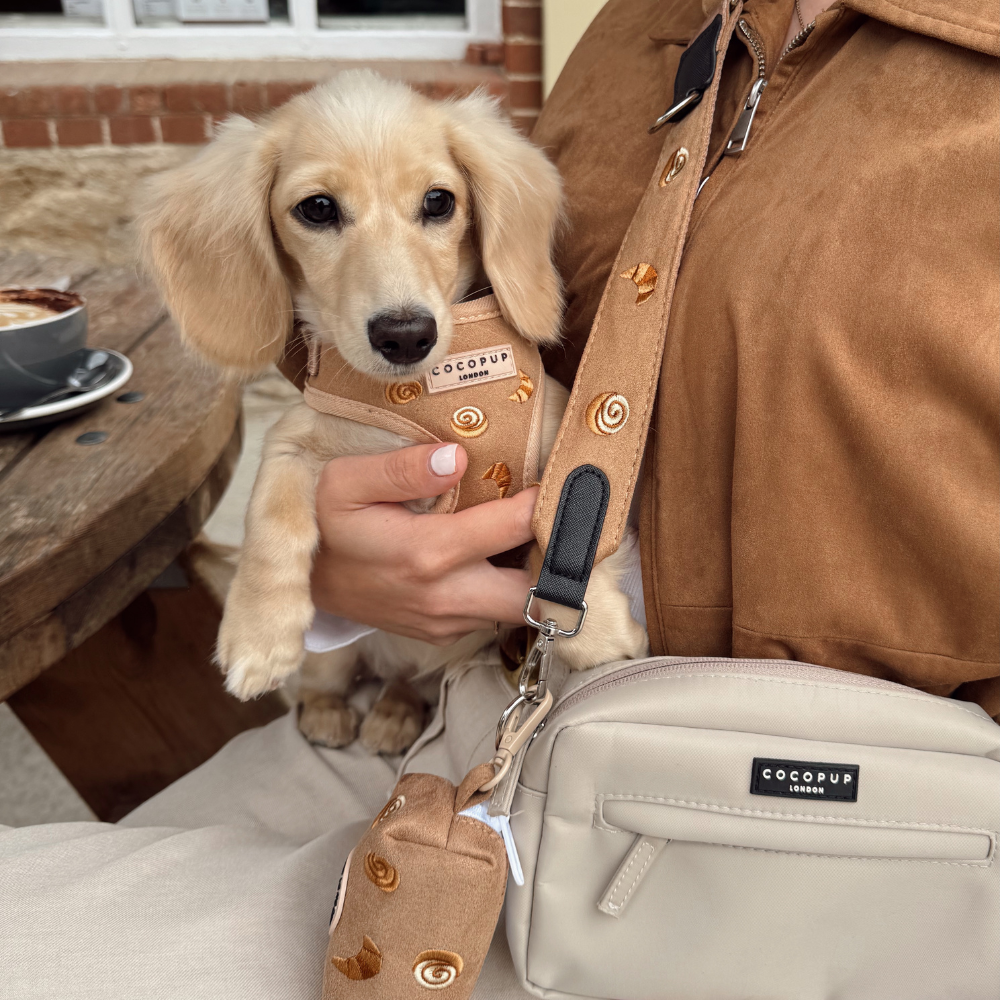 Dog Walking Caramel Latte Bag Bundle - Pawtisserie