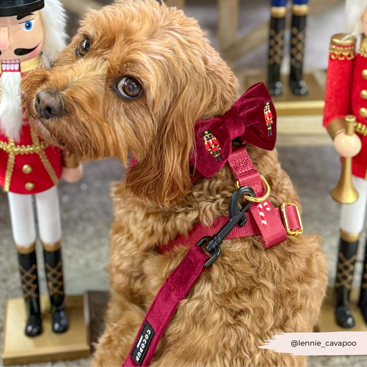 The Muttcracker Bow Tie