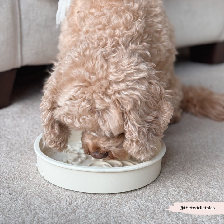 Silicone Slow Feed Dog Bowl - Cream Flowers