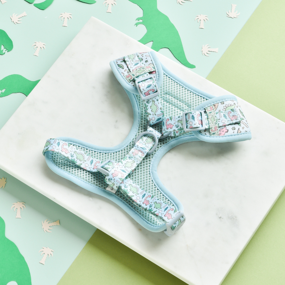 The Dinopaws Adjustable Neck Harness by Cocopup London is displayed on a white marble tile, featuring a light green and blue whimsical dinosaur pattern. Crafted from soft neoprene for ultimate comfort, the harness comes with an adjustable neck fit. In the background, a green surface displays cut-out dinosaur shapes and tropical leaf designs.