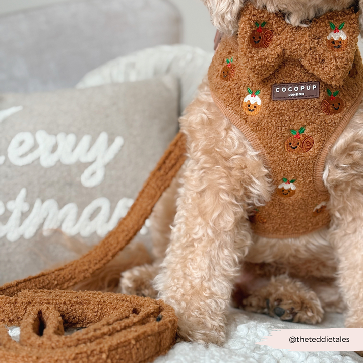 Festive Pudding Pup Adjustable Neck Harness, Lead & Collar Bundle