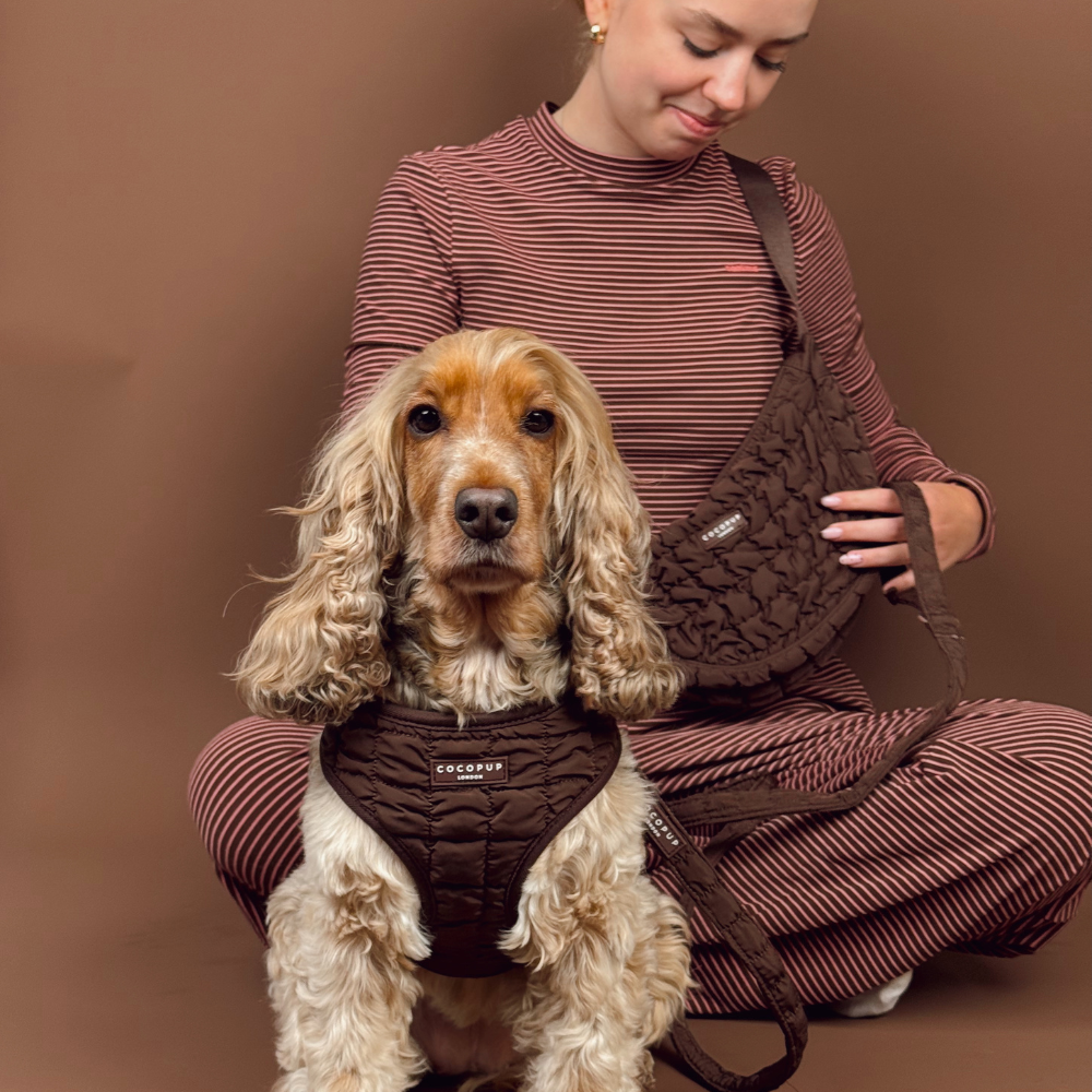 Espresso Quilted Adjustable Neck Harness, Lead & Collar Bundle