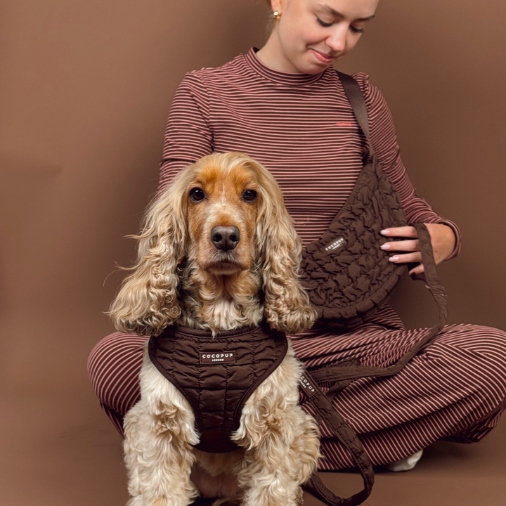 Espresso Quilted Adjustable Neck Harness, Lead & Collar Bundle