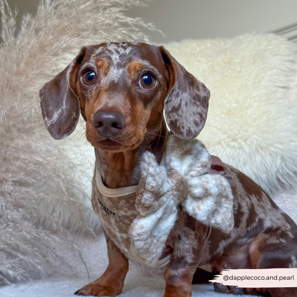 Highland Fleece Sailor Bow Tie - Oatmeal