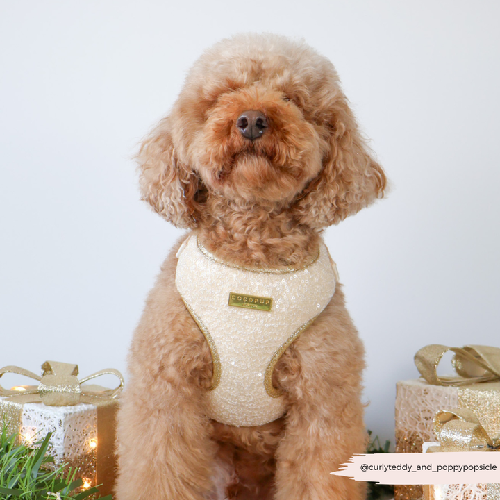 Limited Edition Sparkle Season Gold Adjustable Neck Harness, Lead & Collar Bundle