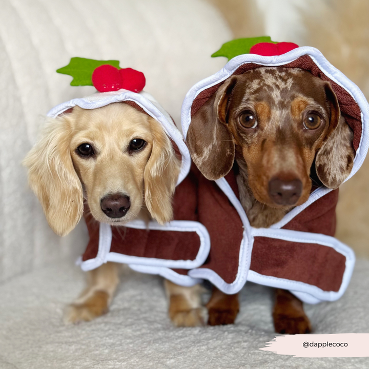 PERSONALISED Christmas Pudding Drying Robe