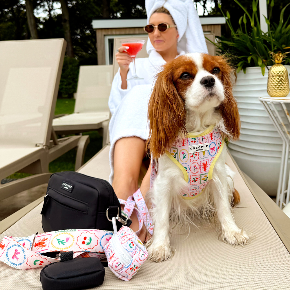 Dolce Vita Adjustable Neck HARNESS