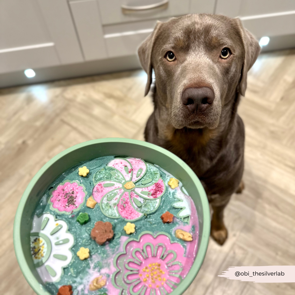 Silicone Slow Feed Dog Bowl - Sage Flowers