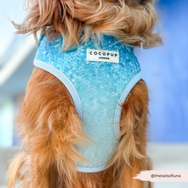 Seaside Shimmer Adjustable Neck HARNESS