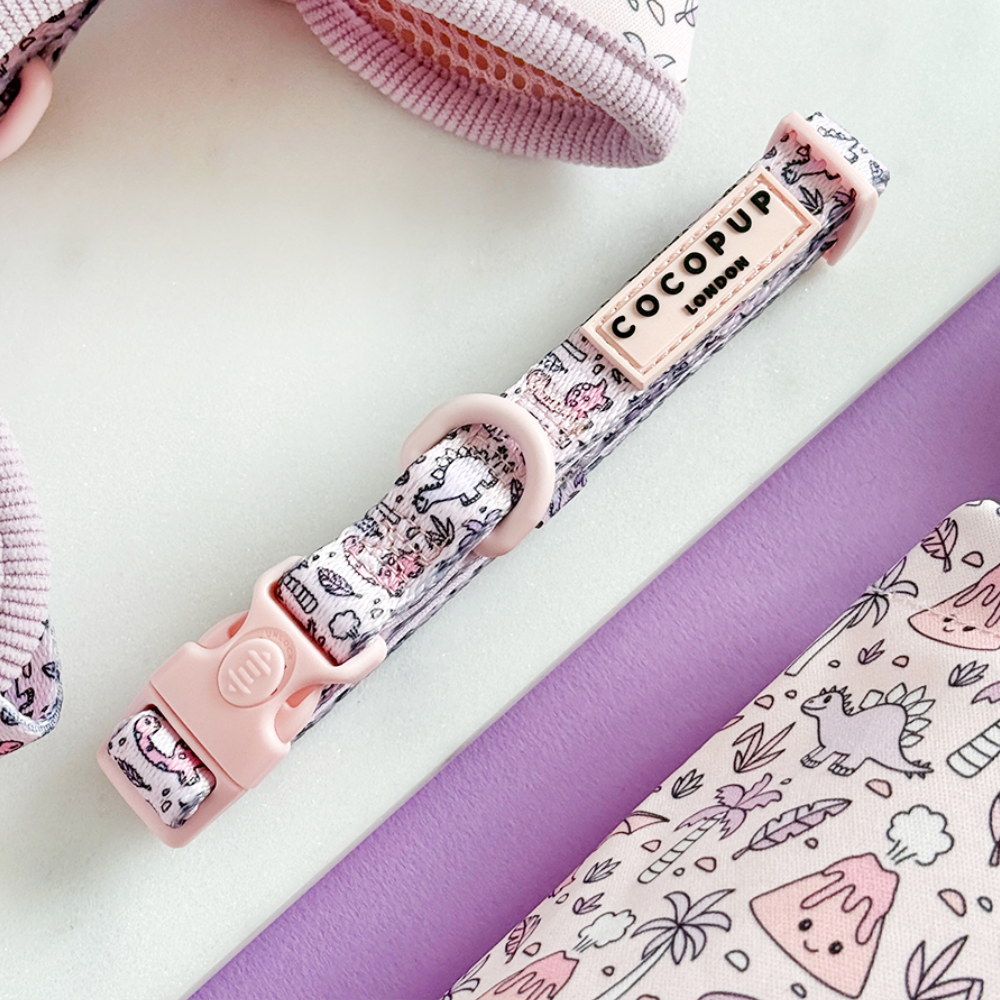 Princess Dino COLLAR