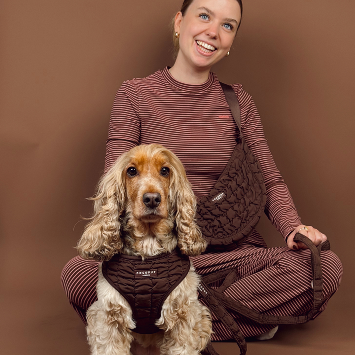 Espresso Quilted Adjustable Neck Harness, Lead & Collar Bundle