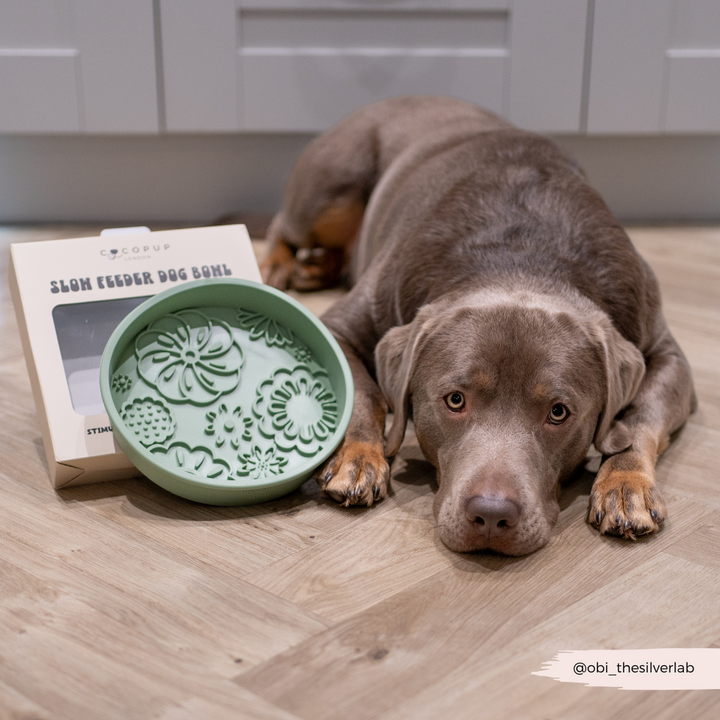 Silicone Slow Feed Dog Bowl - Sage Flowers