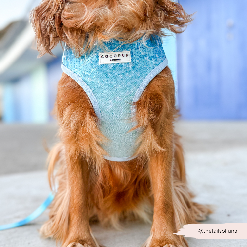 Seaside Shimmer Adjustable Neck HARNESS