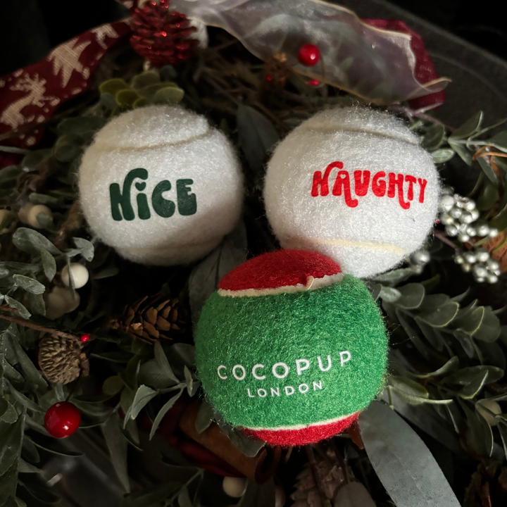 Christmas Tennis Ball Bundle - Red & Green, Naughty and Nice