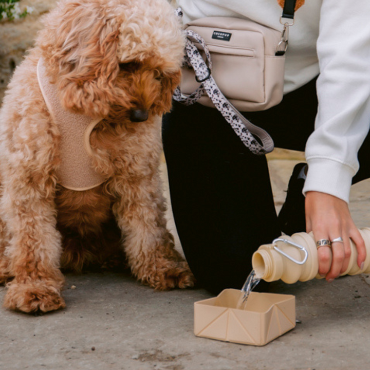 Bag Accessory Bundle - Nude