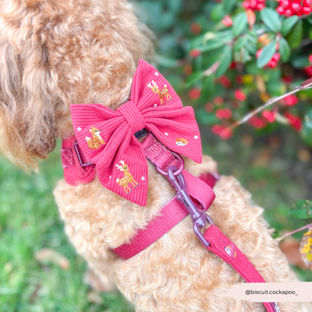 Holly Jolly Trails Sailor Bow Tie