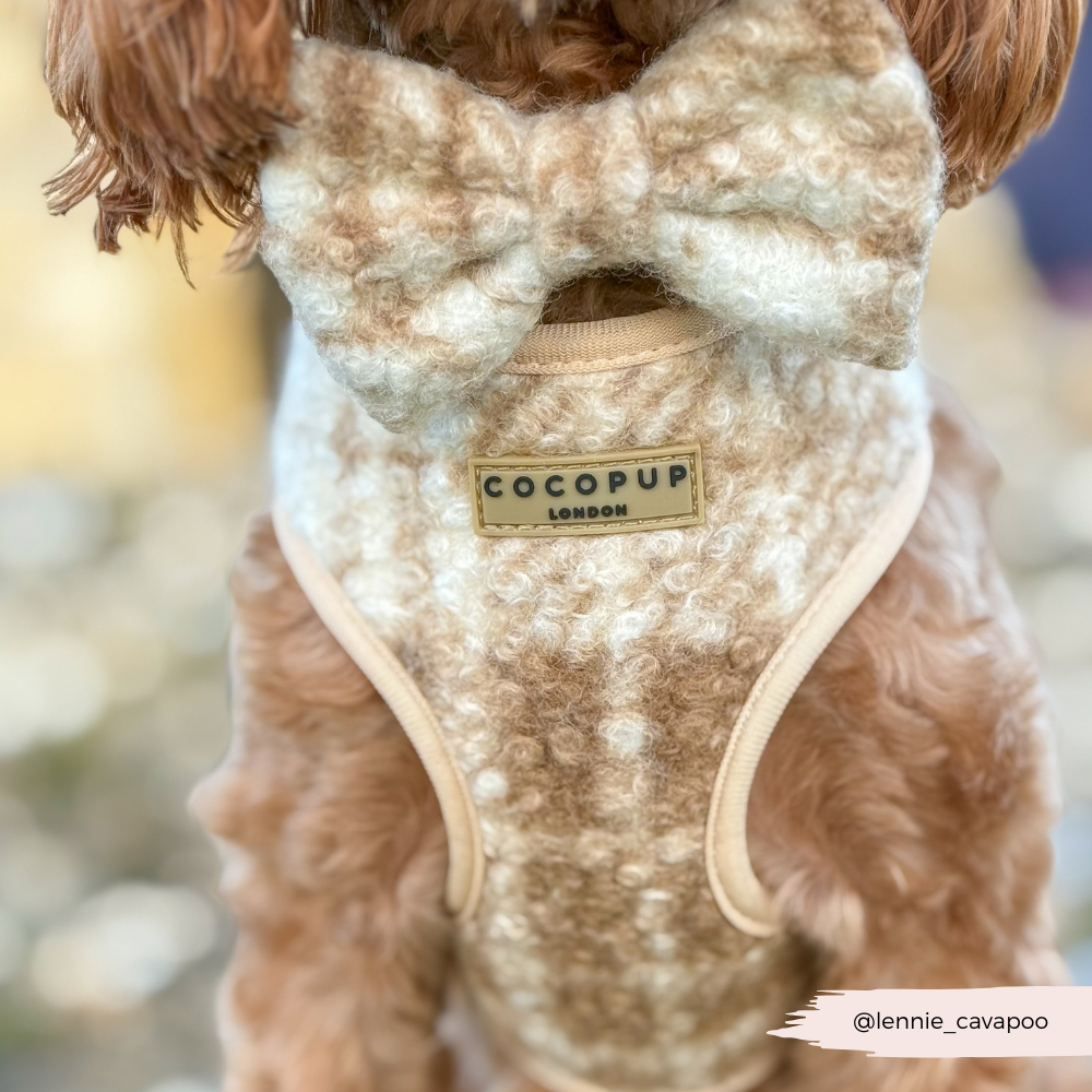 Highland Fleece Adjustable Neck Harness, Lead & Collar Bundle - Oatmeal