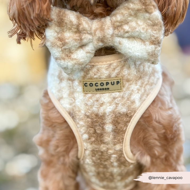 Highland Fleece Adjustable Neck Harness, Lead & Collar Bundle - Oatmeal