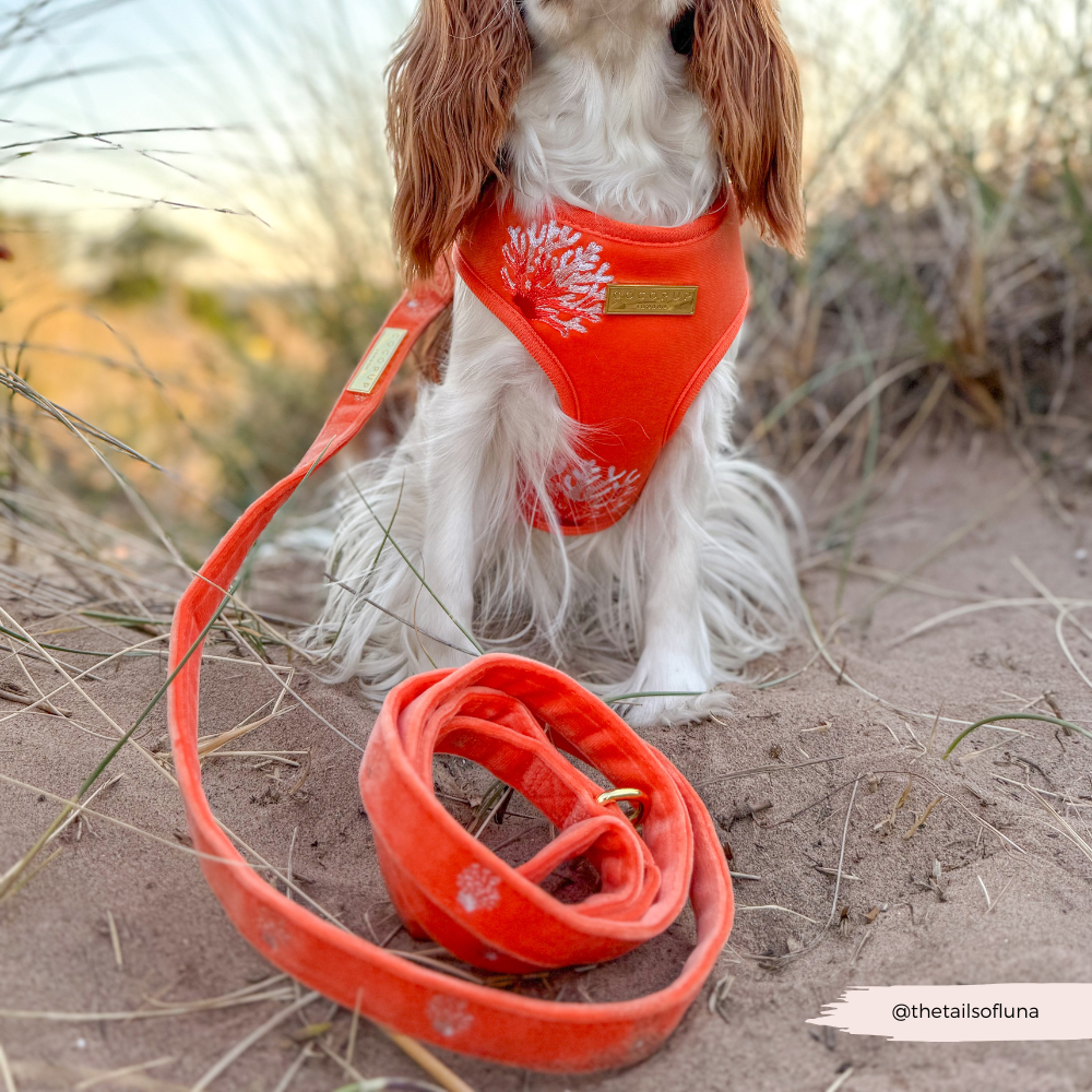 Luxe Velvet Adjustable Neck HARNESS- Coral Core
