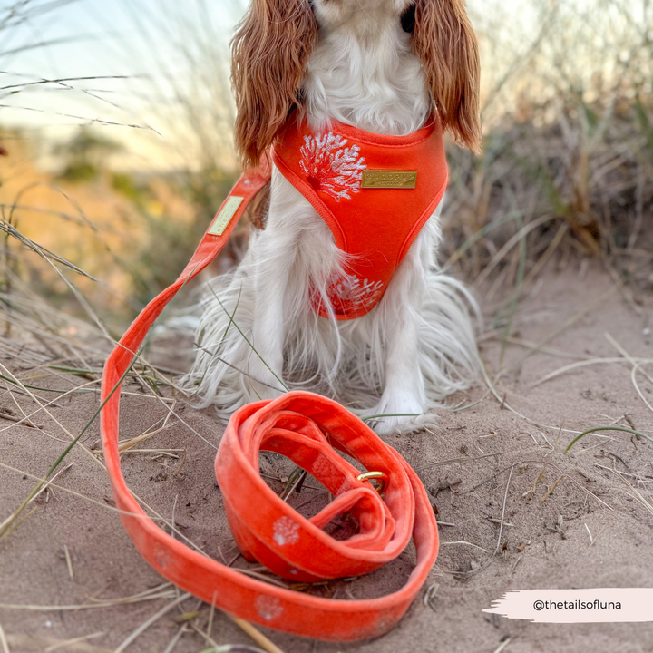 Luxe Velvet Adjustable Neck HARNESS- Coral Core