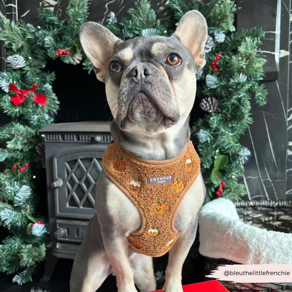 Festive Pudding Pup Adjustable Neck HARNESS