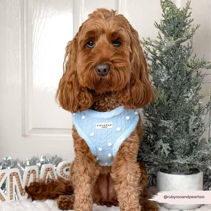 Snowpaws Adjustable Neck HARNESS