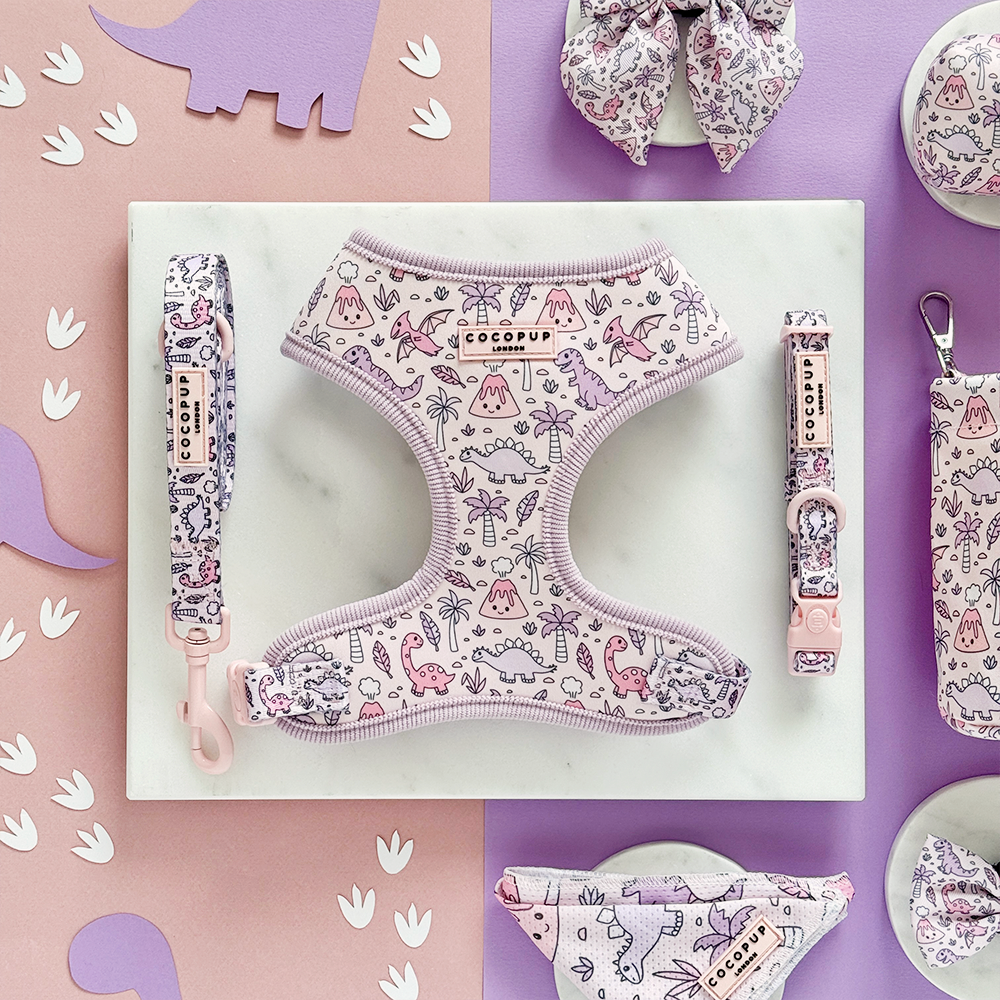 Princess Dino COLLAR