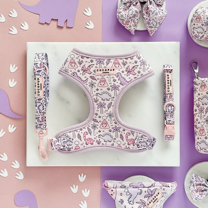 Princess Dino COLLAR