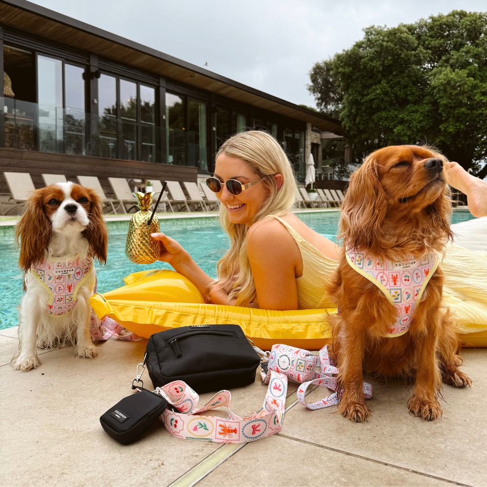 Bag Strap - Dolce Vita