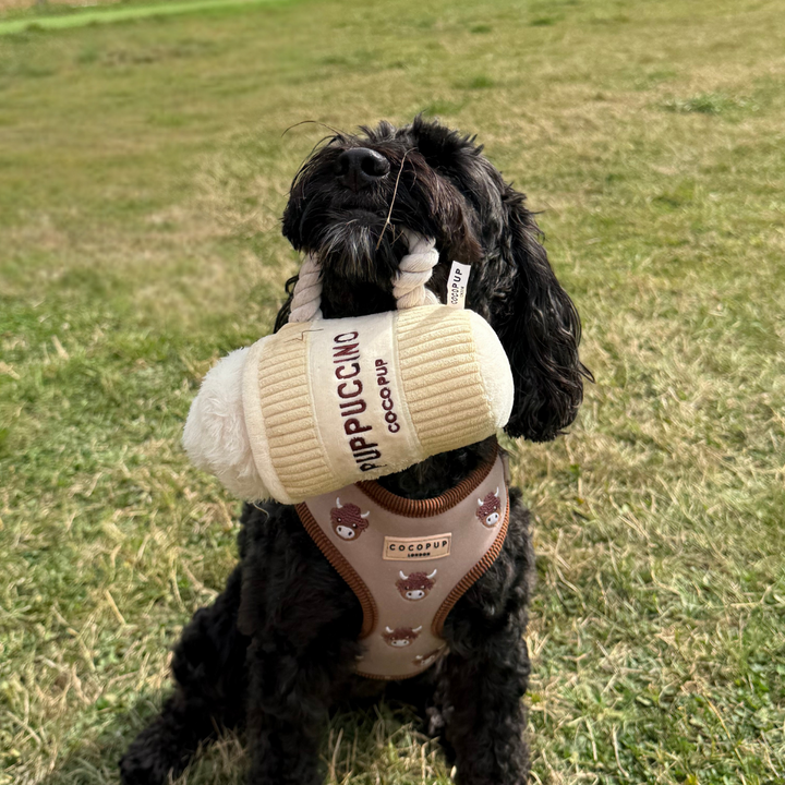 Puppuccino Dog Toy