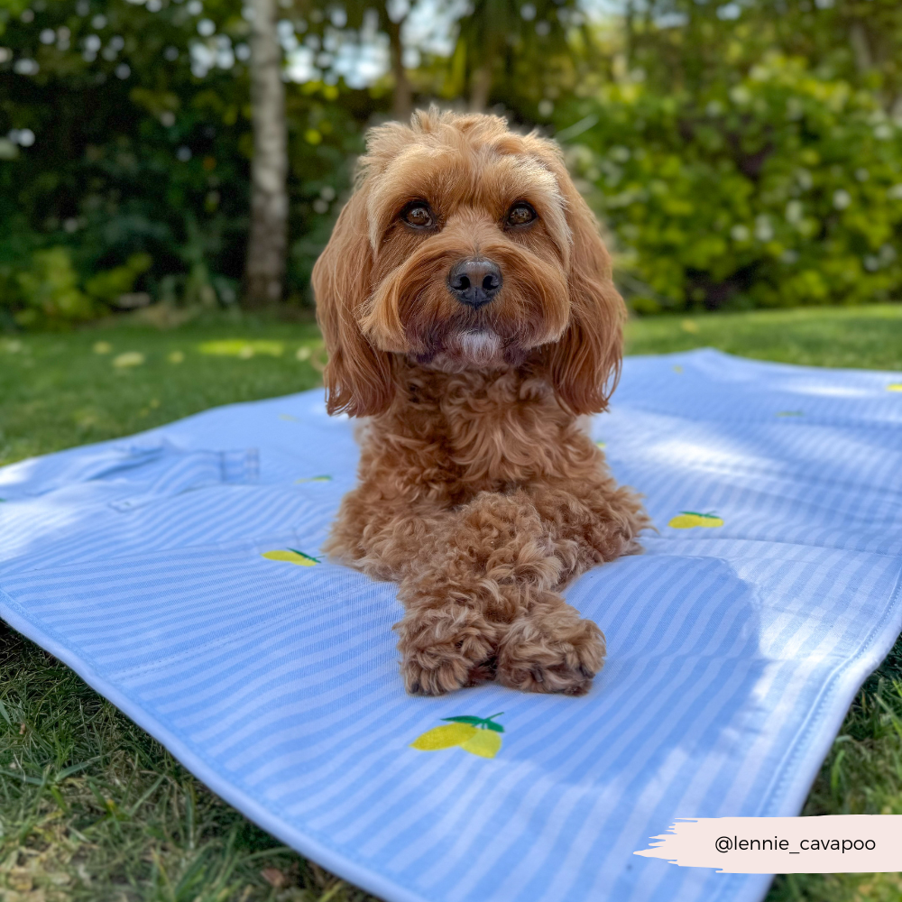 PERSONALISED Travel Mat - Living La Vida Lemon