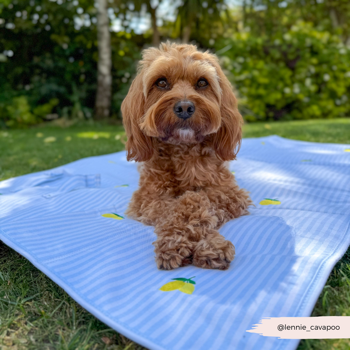 PERSONALISED Travel Mat - Living La Vida Lemon