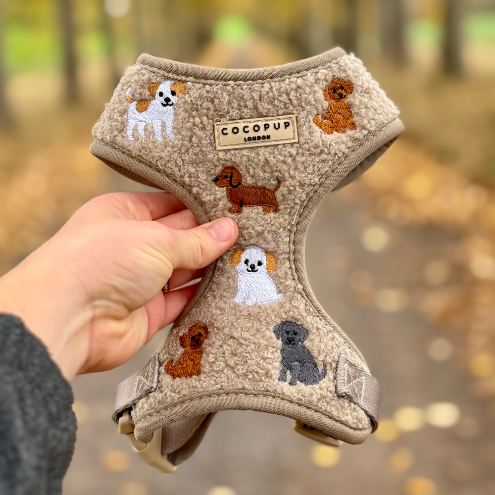 Ralph & Friends Mocha Teddy Adjustable Neck Harness, Lead & Collar Bundle